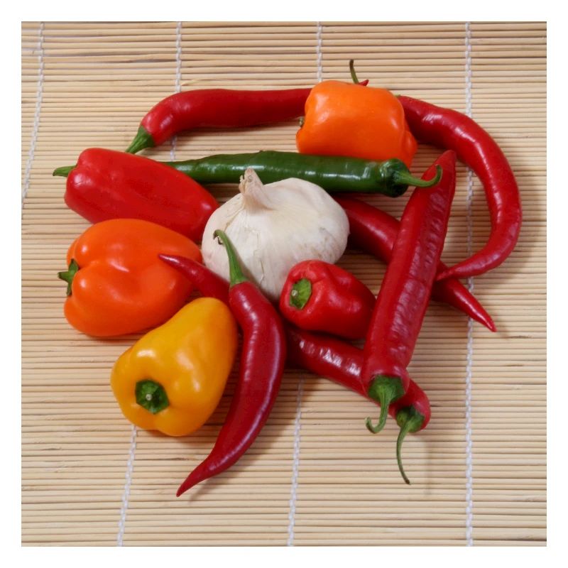 CHILI’s-Runde