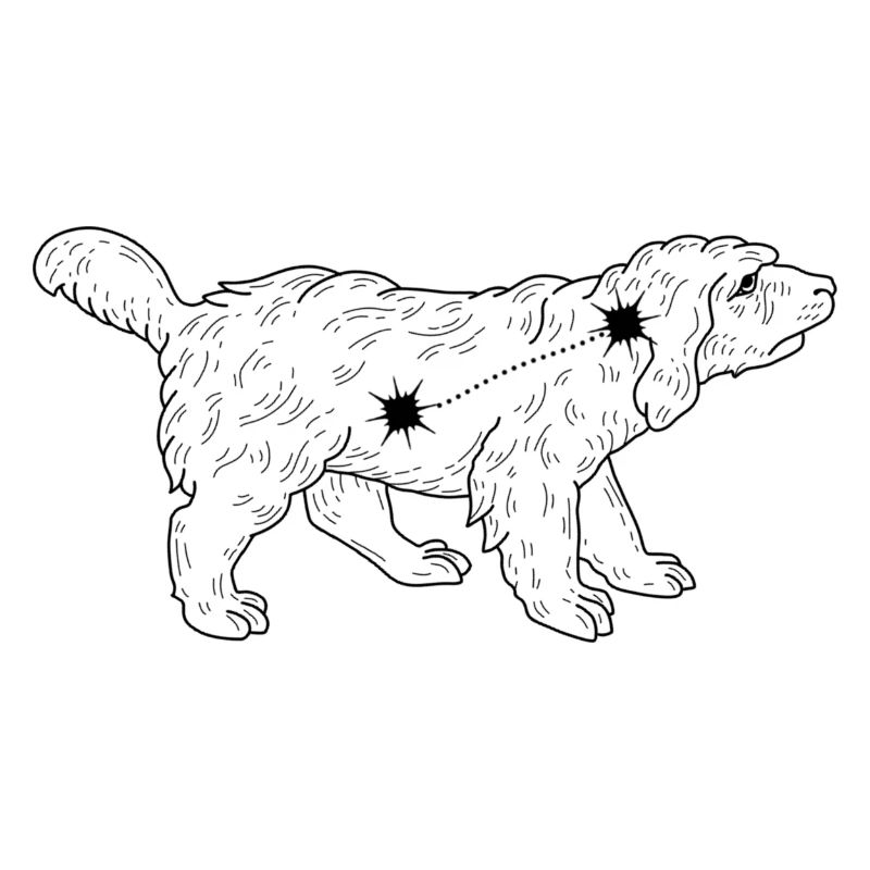 Constellation