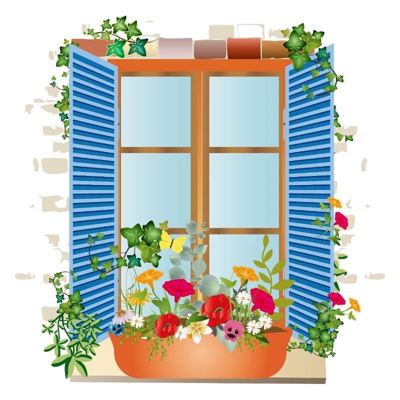 Summer window with flower box