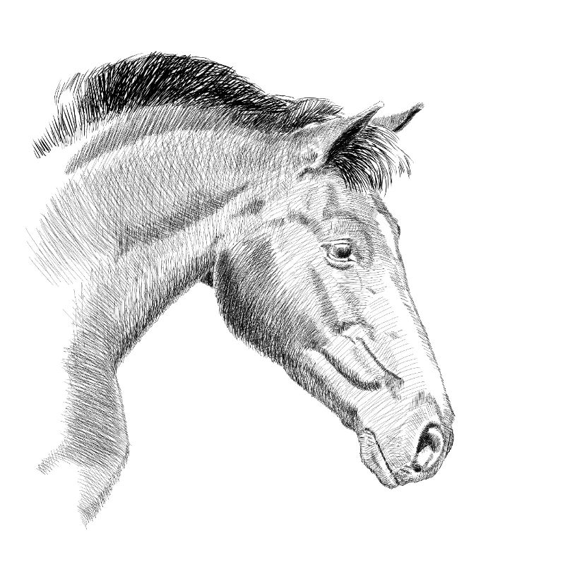 Cheval