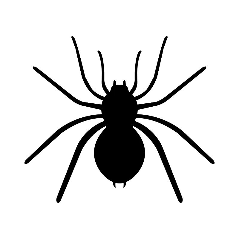 araignée