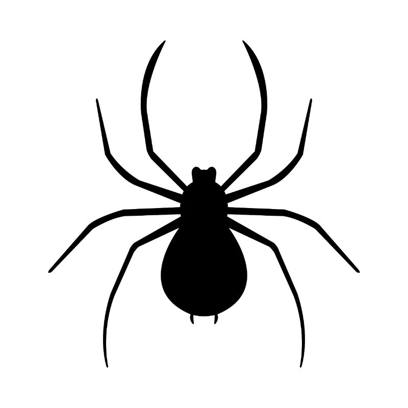 spider