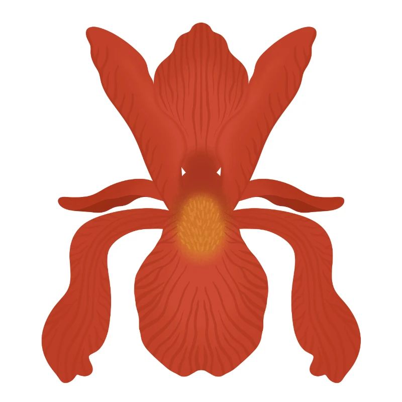 Crimson Iris Flame