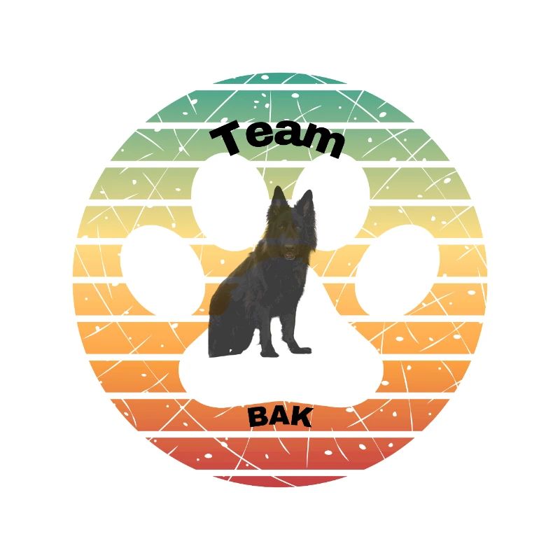 Team Bak