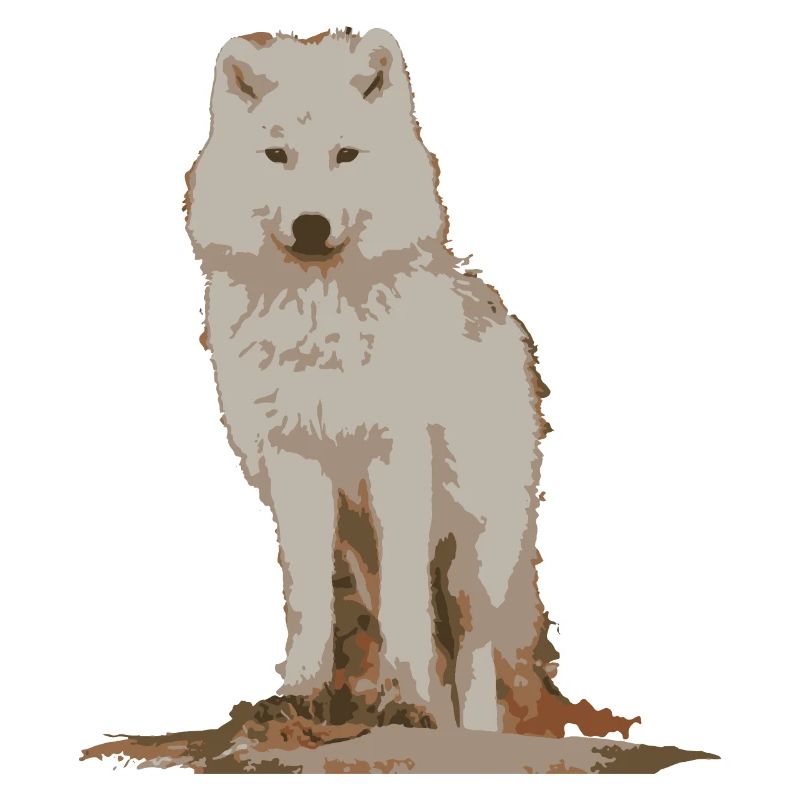 Weißer Wolf