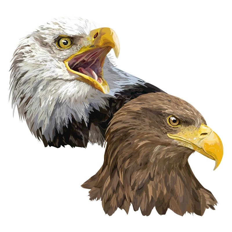 Pigargos