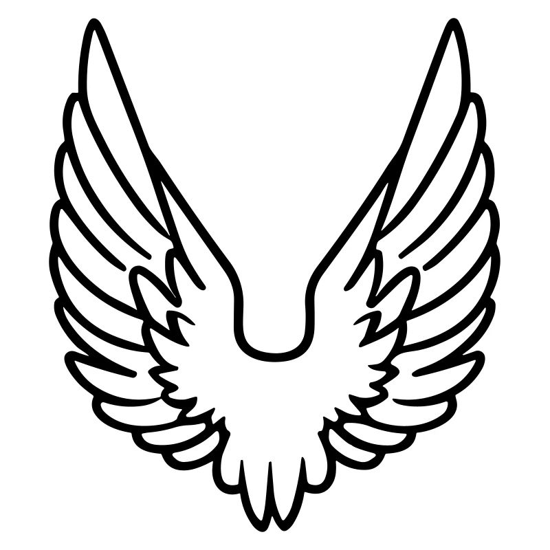 Ailes d'ange