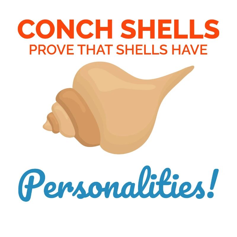 Conch Seashells Collector Beachcomber Sea Shell