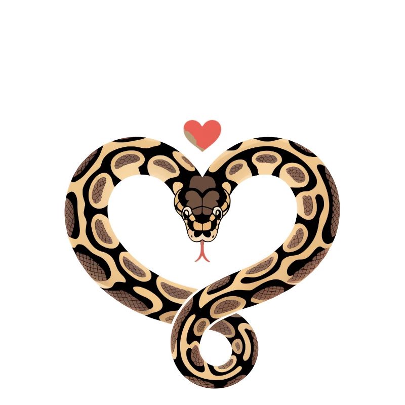 J’adore mon python royal ! Roi python