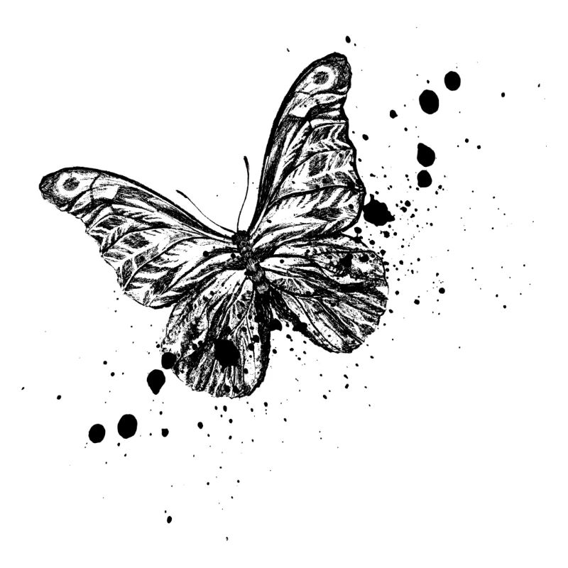 Illustration de papillon