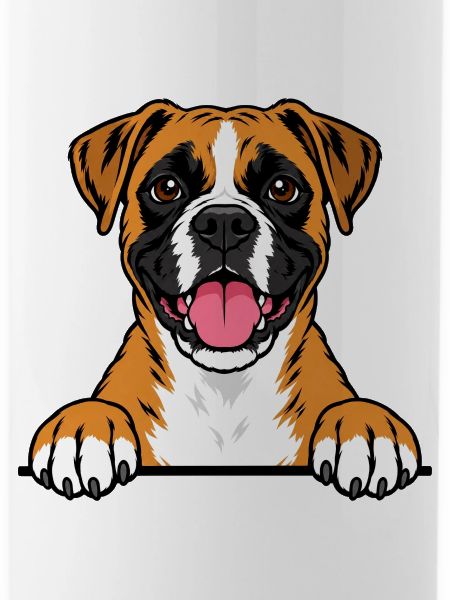 Boxer