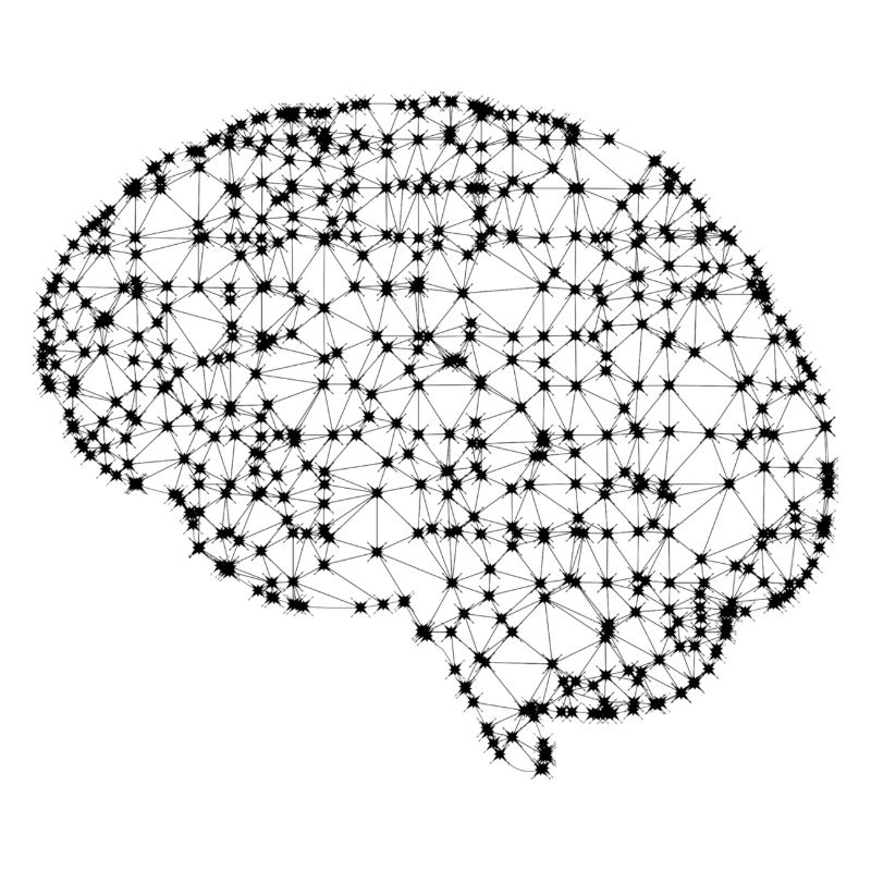 Head in internet pattern