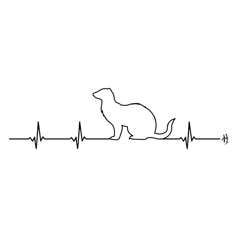Frettchen Herzlinie EKG