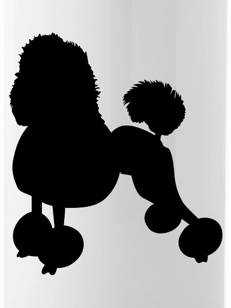 poodle