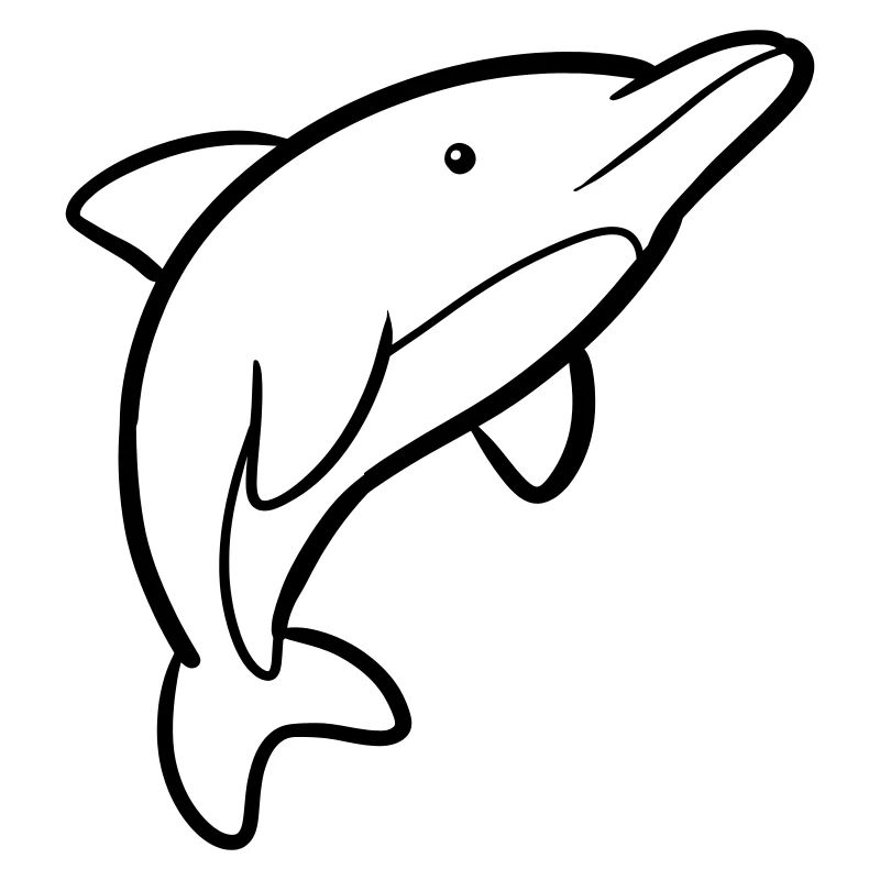 Dolphin