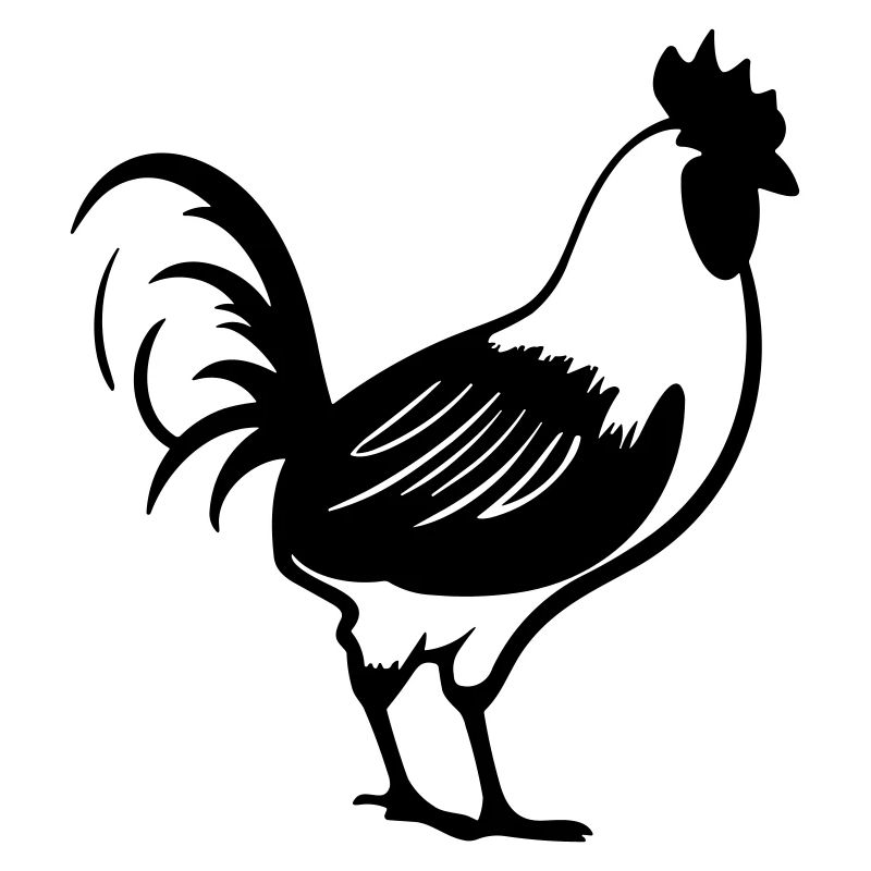 Poule