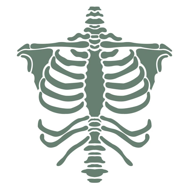 Skeleton Body