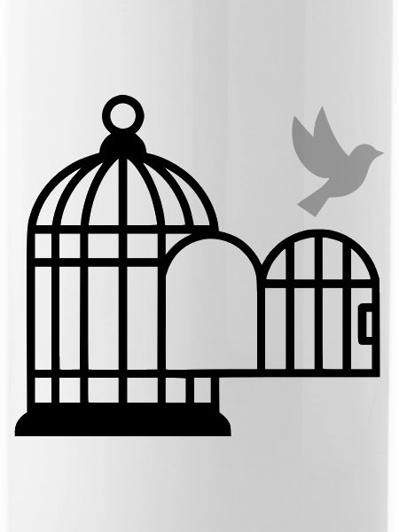 Birdcage Open Freedom