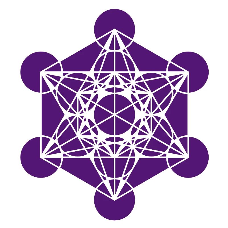 Metatrons Cube - Vector - Platonic Solids /
