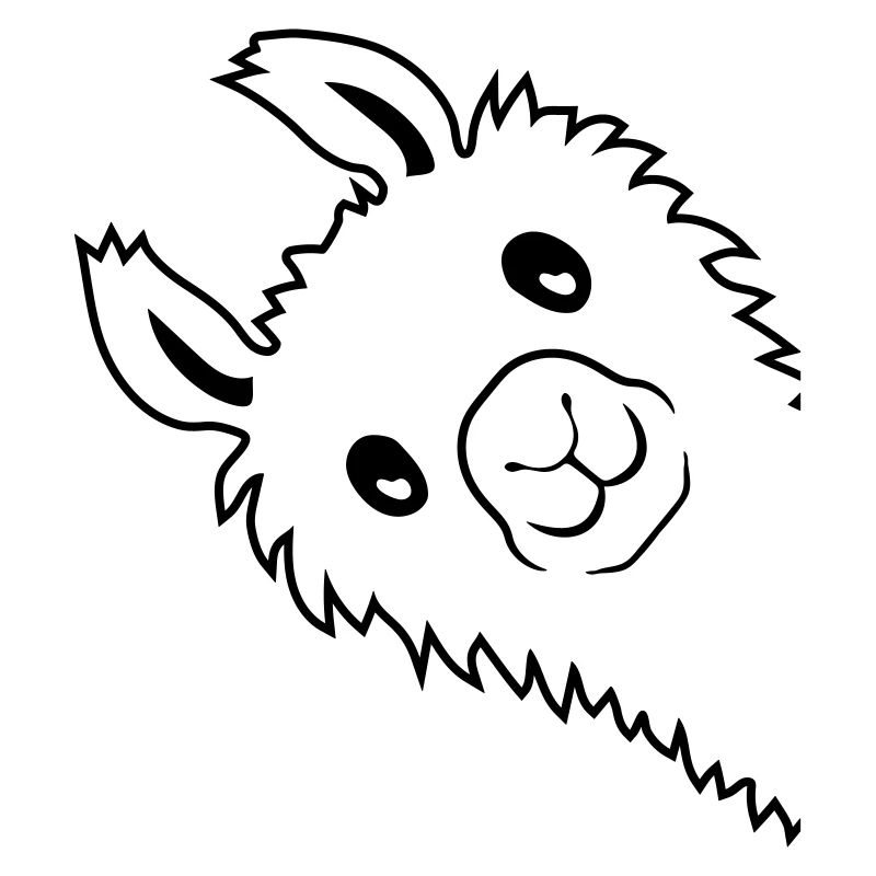 Alpaca looks sideways