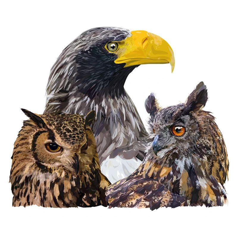 Rapaces