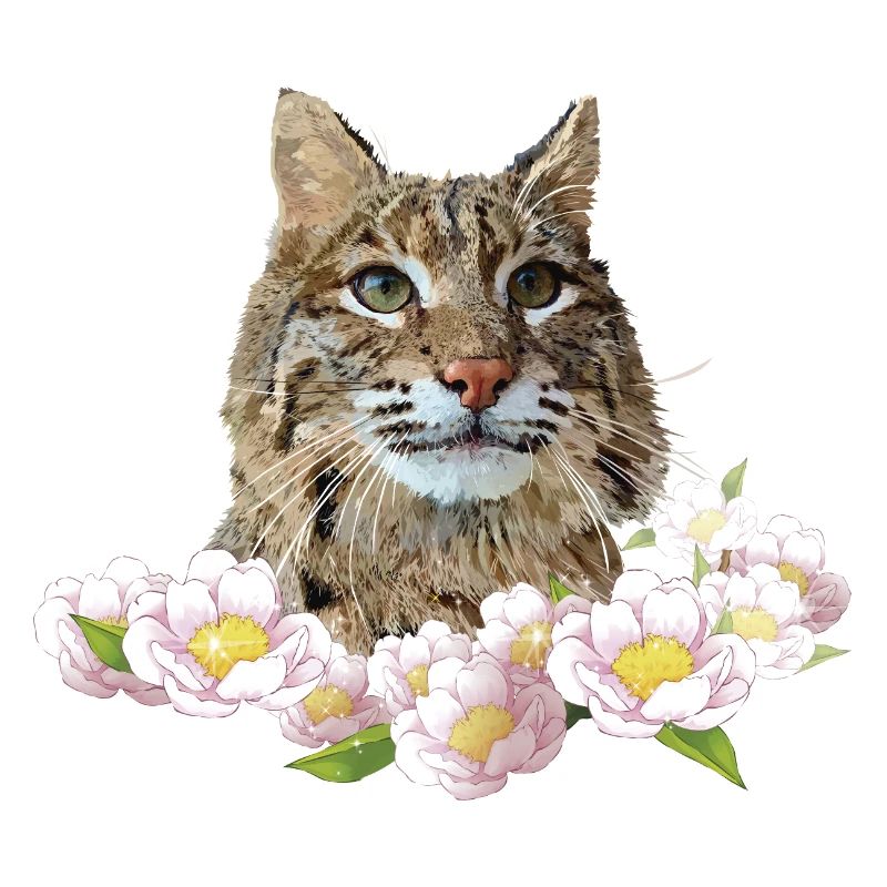 Lynx