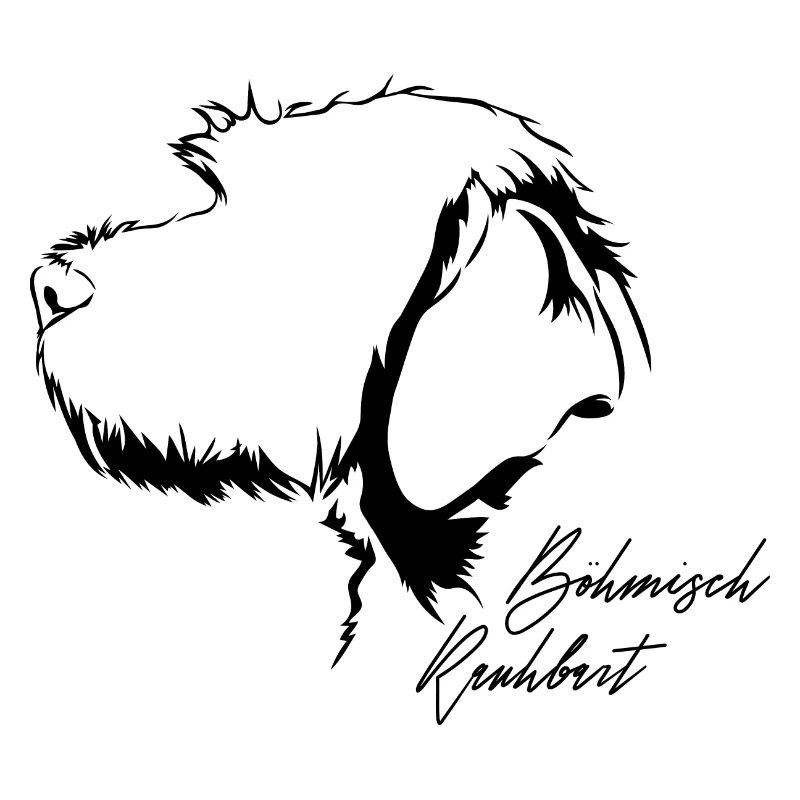 BOHEMIAN RAUHBART Profil Chiens Wilsigns