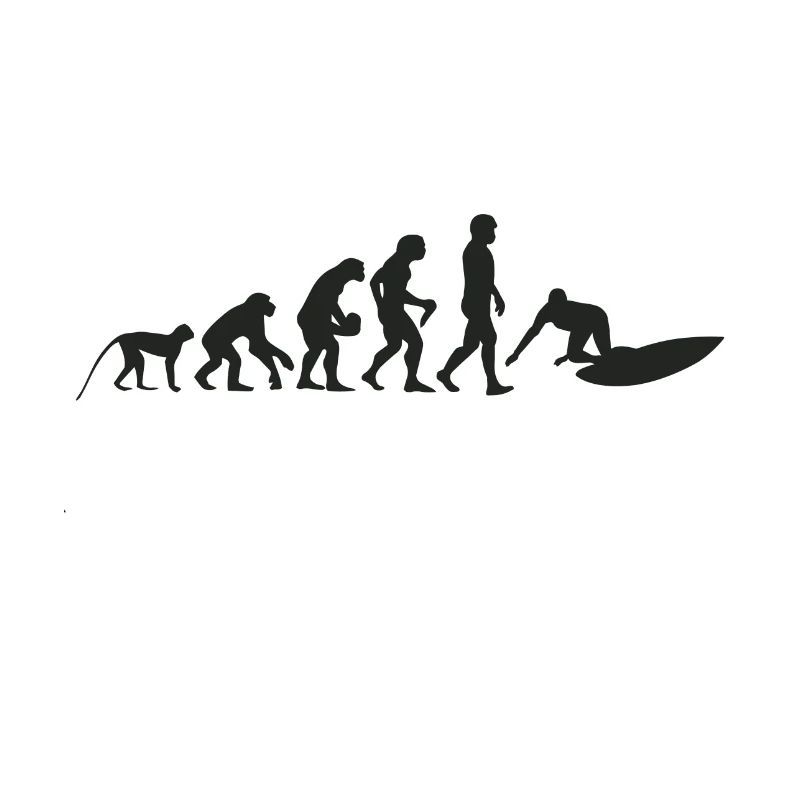 Surfen Evolution