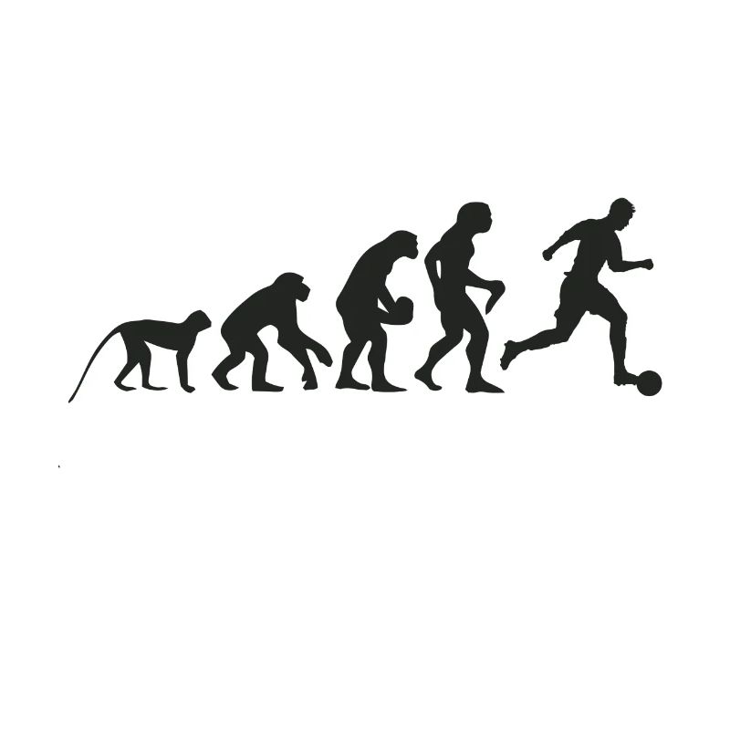 Evolution Fußball