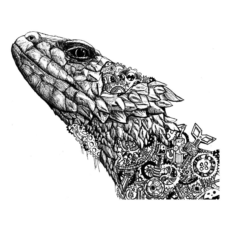 Lizard Clockwork