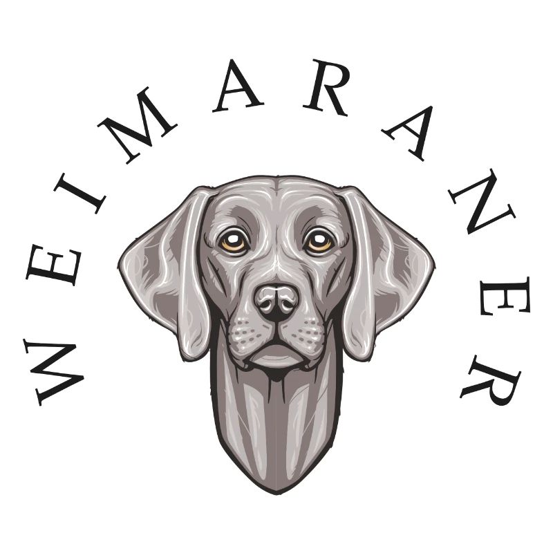 Weimaraner