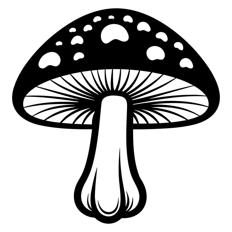 champignon