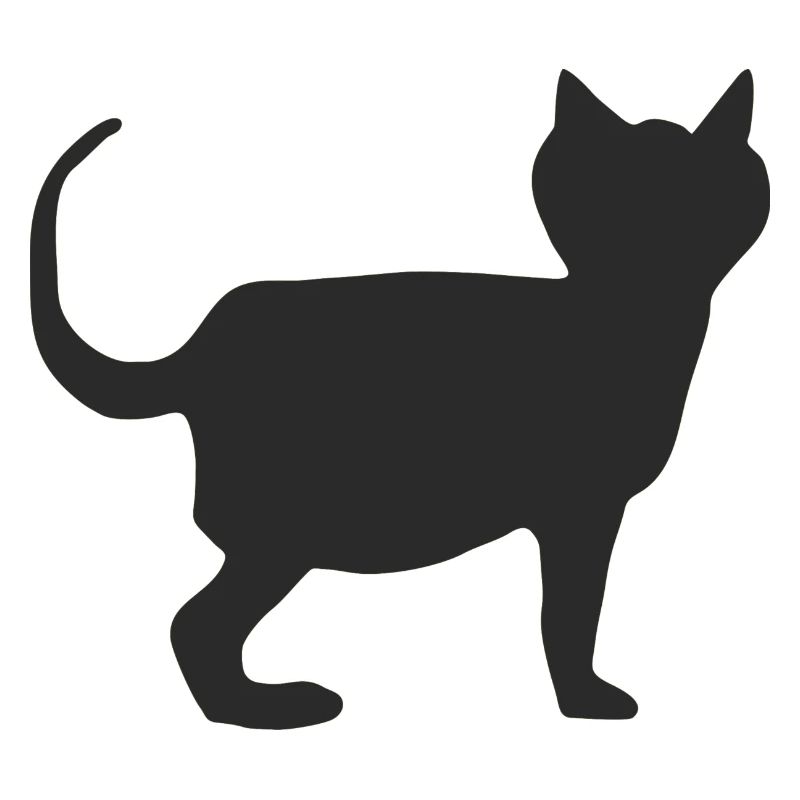 Chat Noir