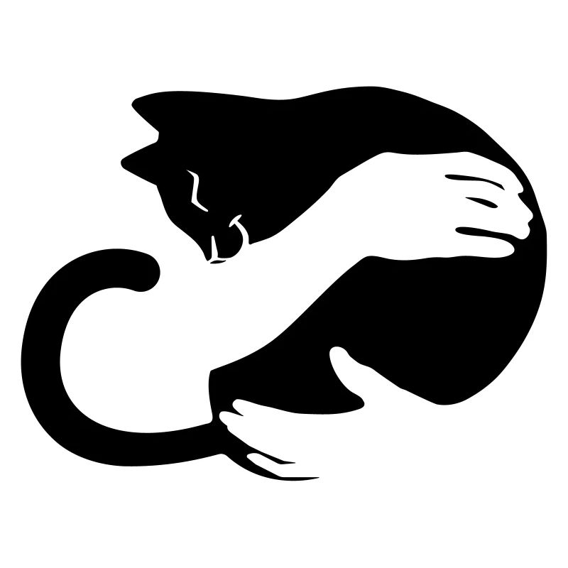 cat hug