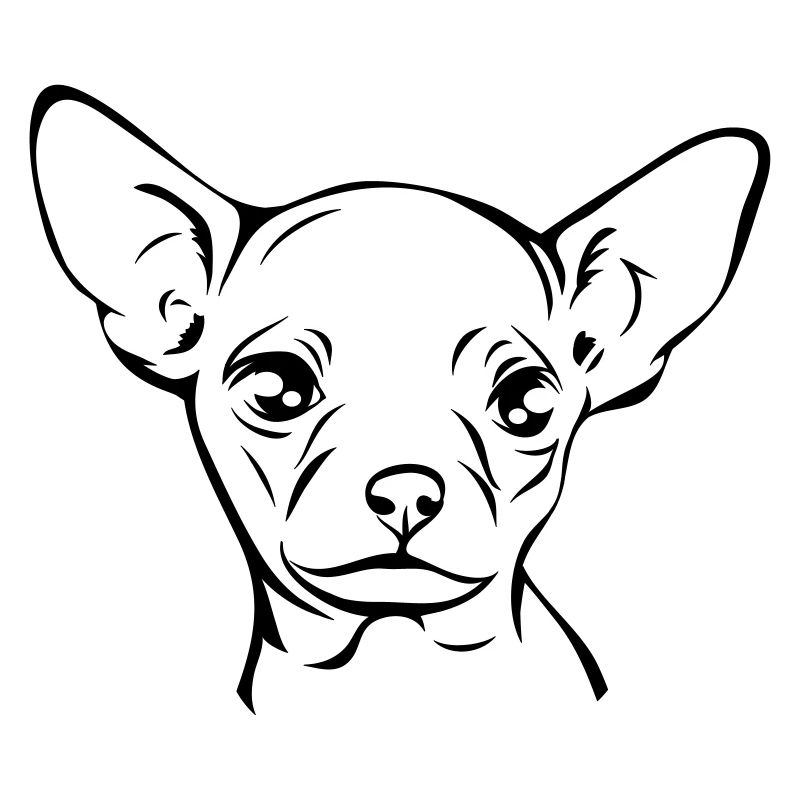 CHIHUAHUA chien chiens Wilsigns