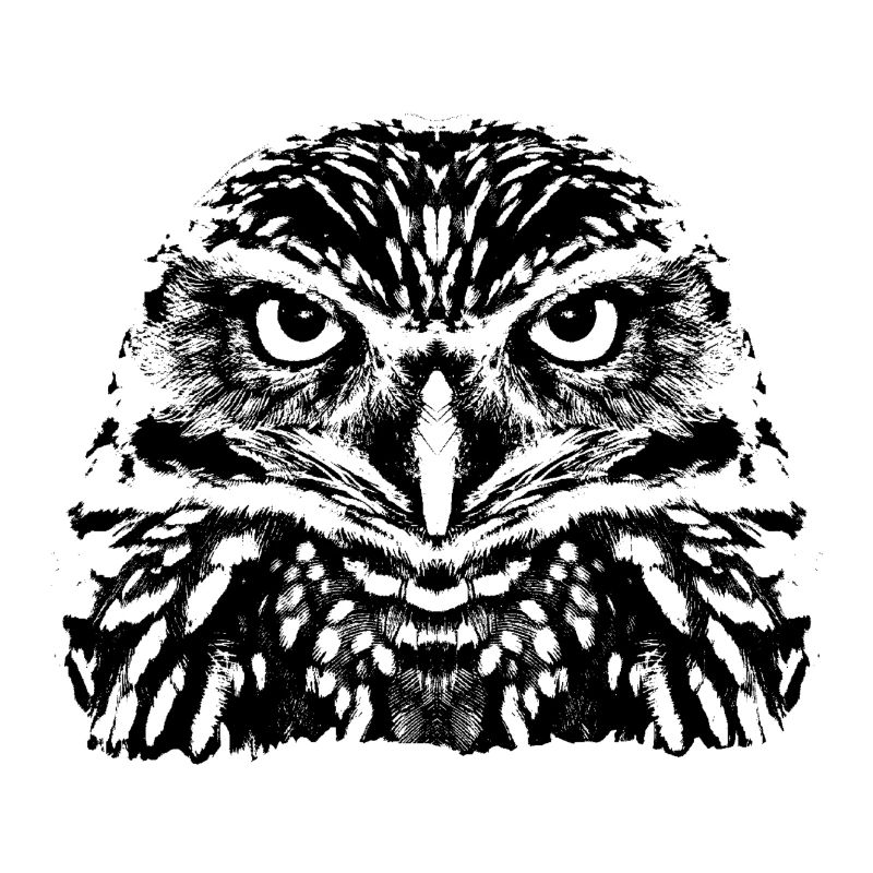 Die Eule / Le Hibou