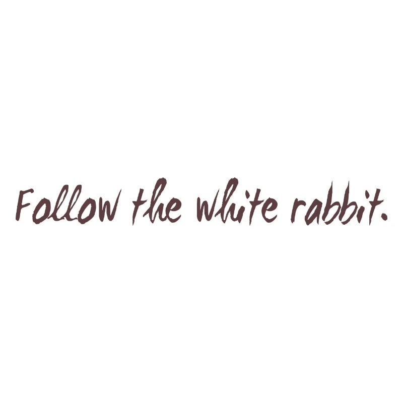 Follow the white rabbit programming gift