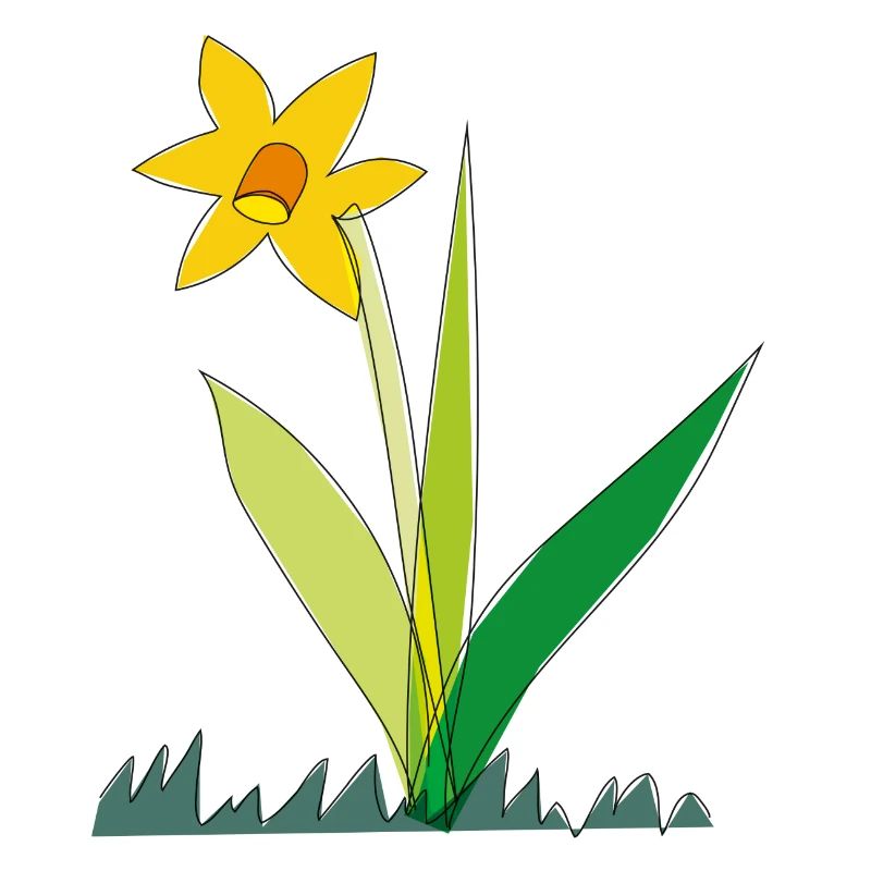 Spring Flower Daffodil