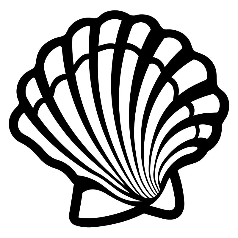 Coquillage