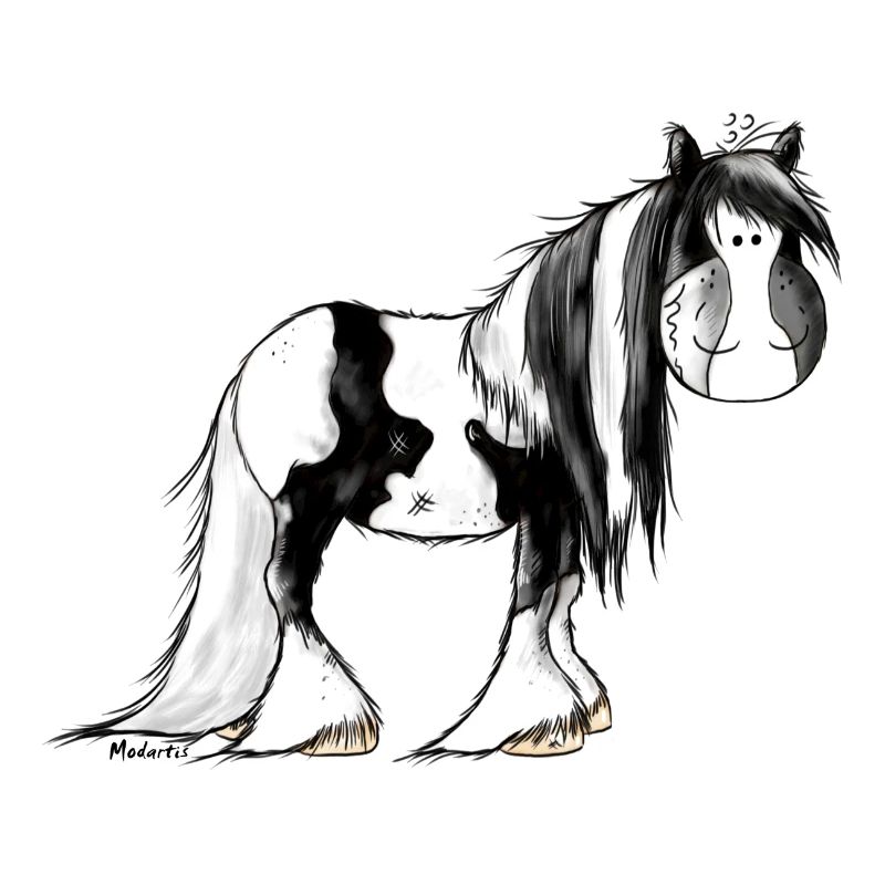 Irish Tinker Pferd - Pinto