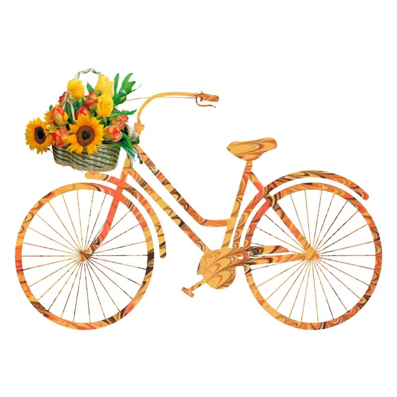 bicycle e 118
