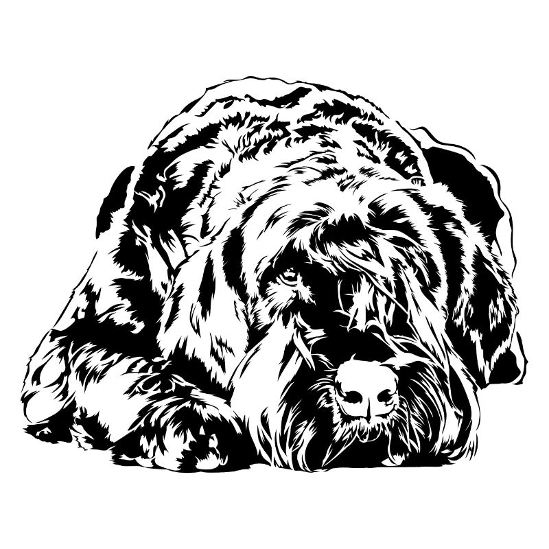 Chien de suceur géant IGP Wilsigns Chiens
