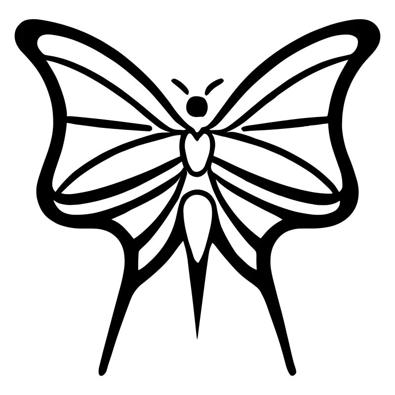 Papillon