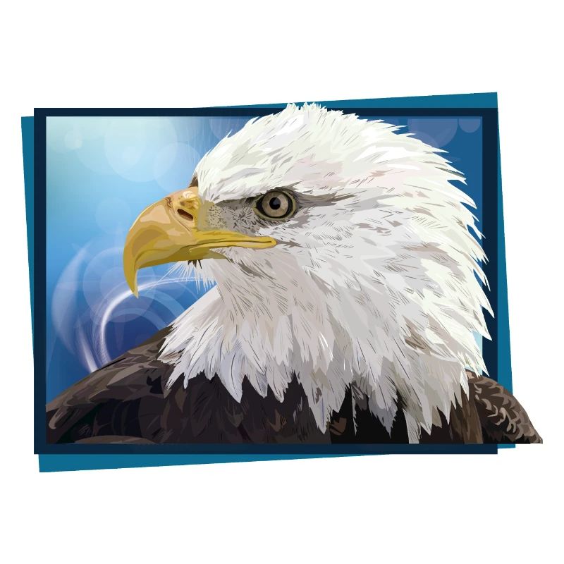Aigle chauve