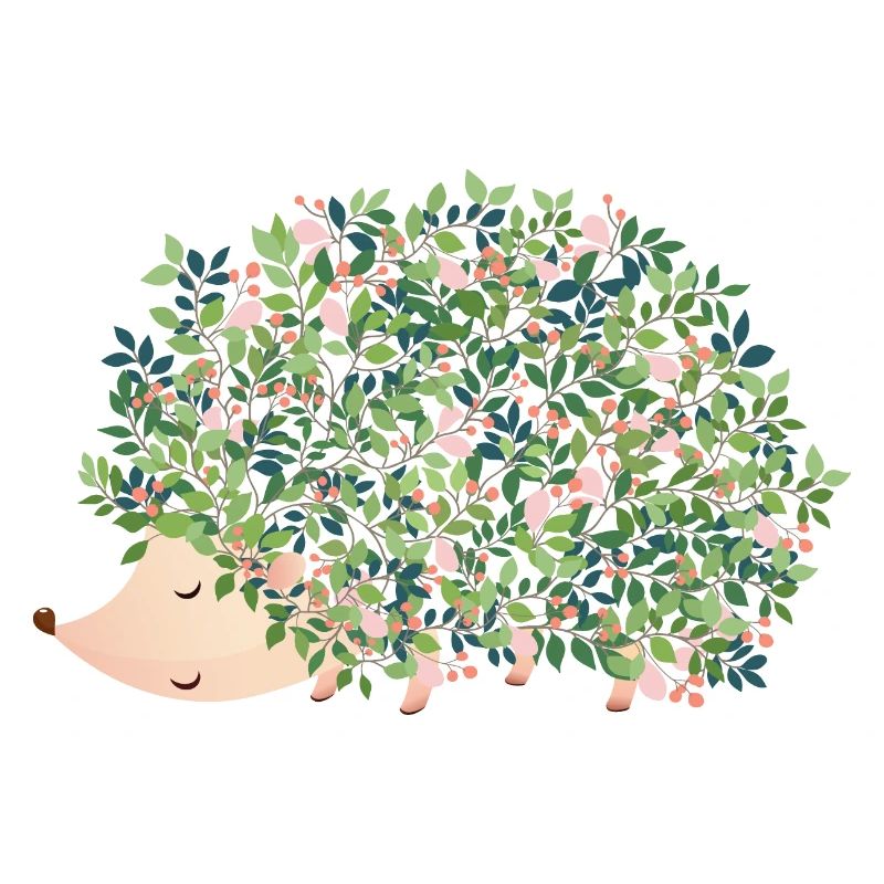 Hérisson Riccio Hérisson