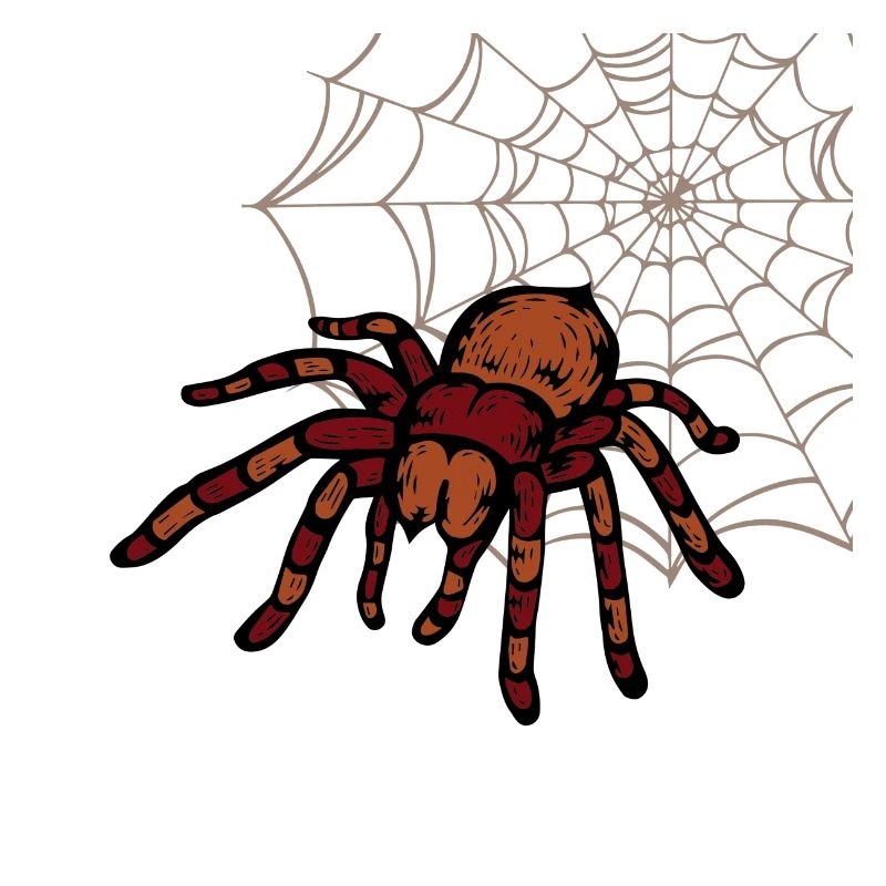 tarantula