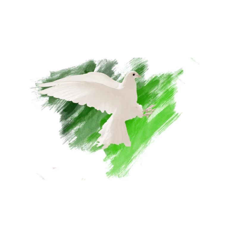 Pigeon blanc avec différentes nuances de vert