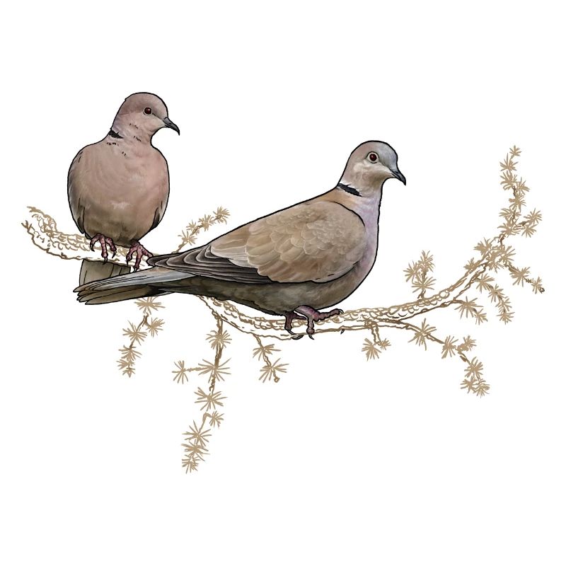 Deux pigeons
