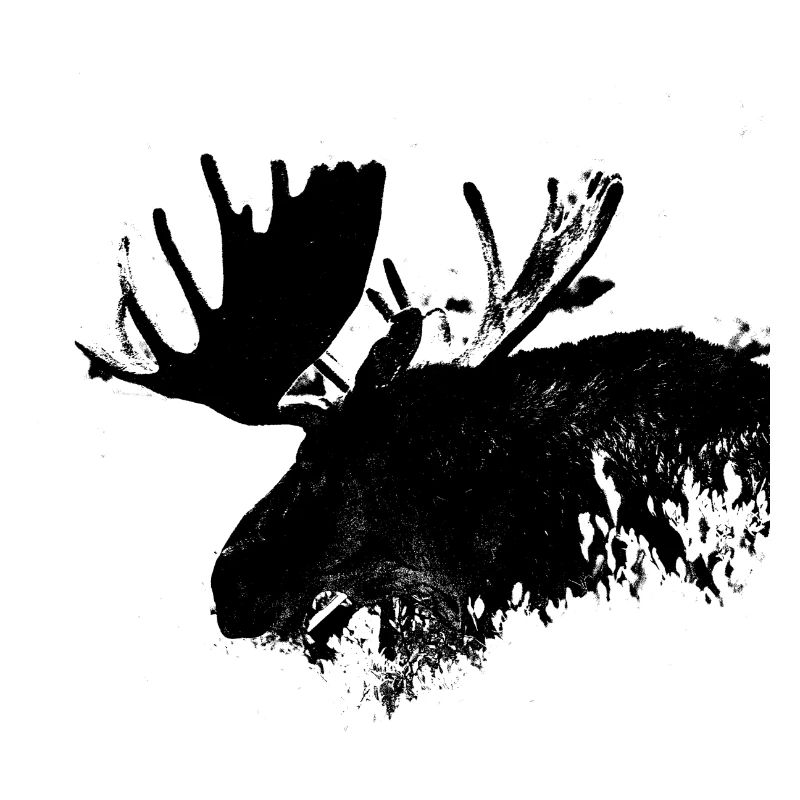 Moose