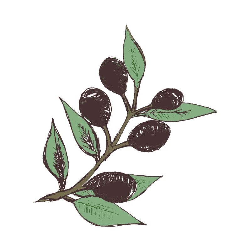 L’olive